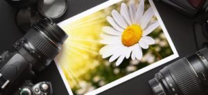 Cara Mencetak Photo Berkualitas Tinggi Dengan Printer Canon