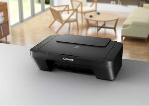 Printer Canon MG2570s